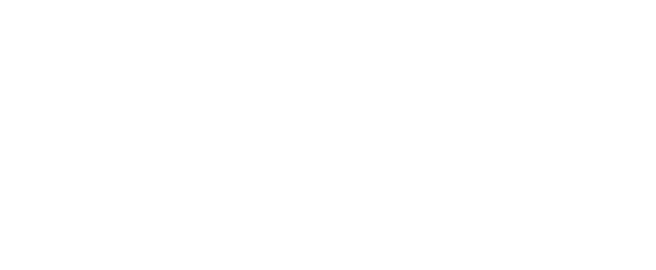 Reale Ingeniería Aplicada